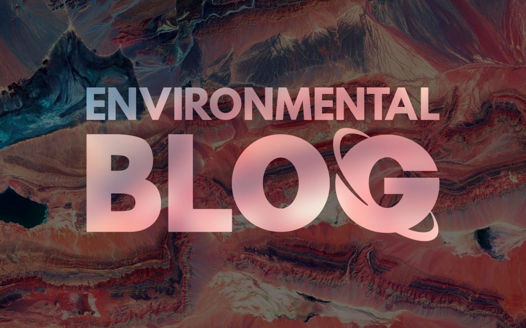 New Environmental Blog